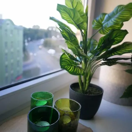Bright Dzīvoklis *
